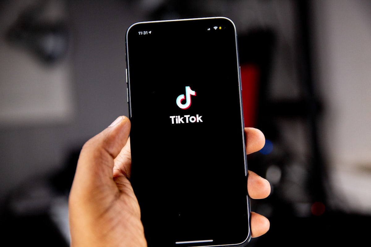 TikTok Tips for Artist and more